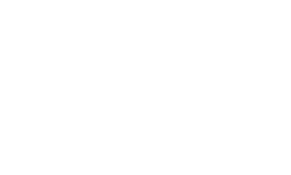logo-footer